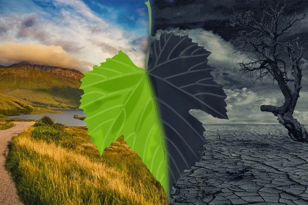 Climate Change and Sustainability